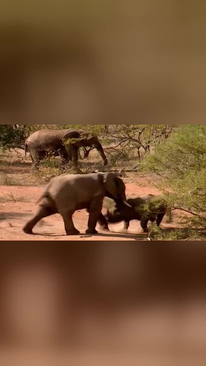 开云体育亚洲官网-关于挑战重重！球队实力对比一触即发的信息